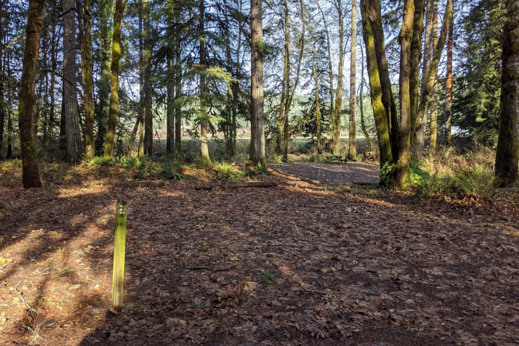 Nehalem River Park and Campground vernonia oregon columbia county