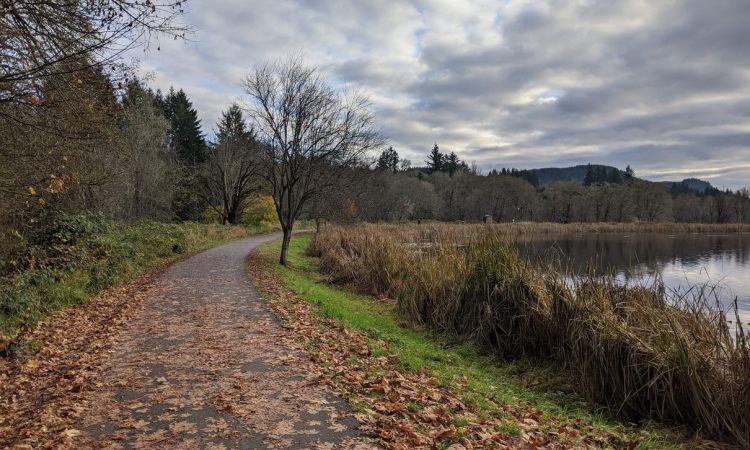 Vernonia Lake City Park Oregon Columbia County