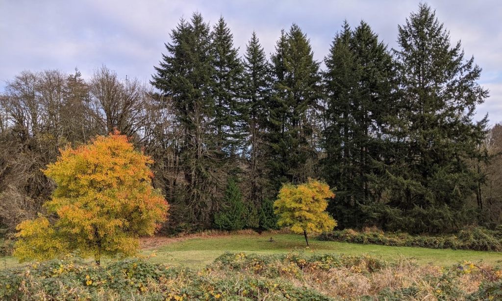 Vernonia Lake City Park campsite camp camping Oregon Columbia County