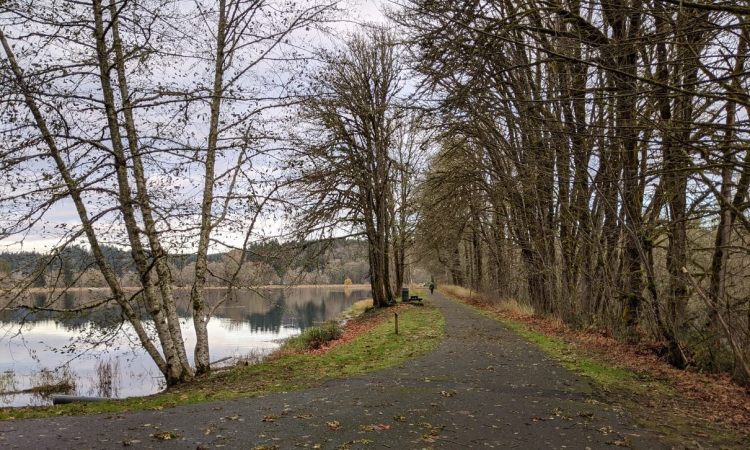 Vernonia Lake City Park Oregon Columbia County