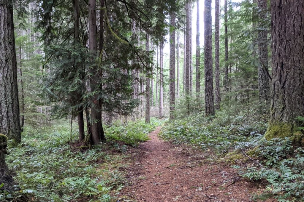Camp Wilkerson Liahona Loop trail Columbia County Oregon