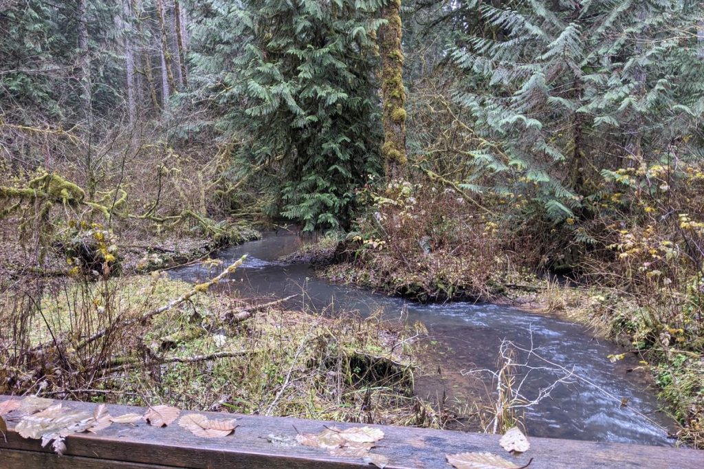 Camp Wilkerson Columbia County Oregon