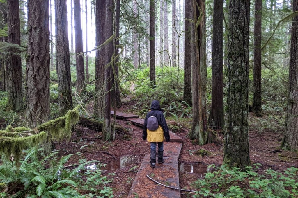 Camp Wilkerson Little Foot Trail Columbia County Oregon