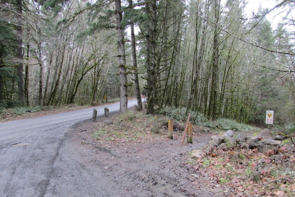 Nehalem Divide trailhead Crown Z trail CZ Columbia County Oregon