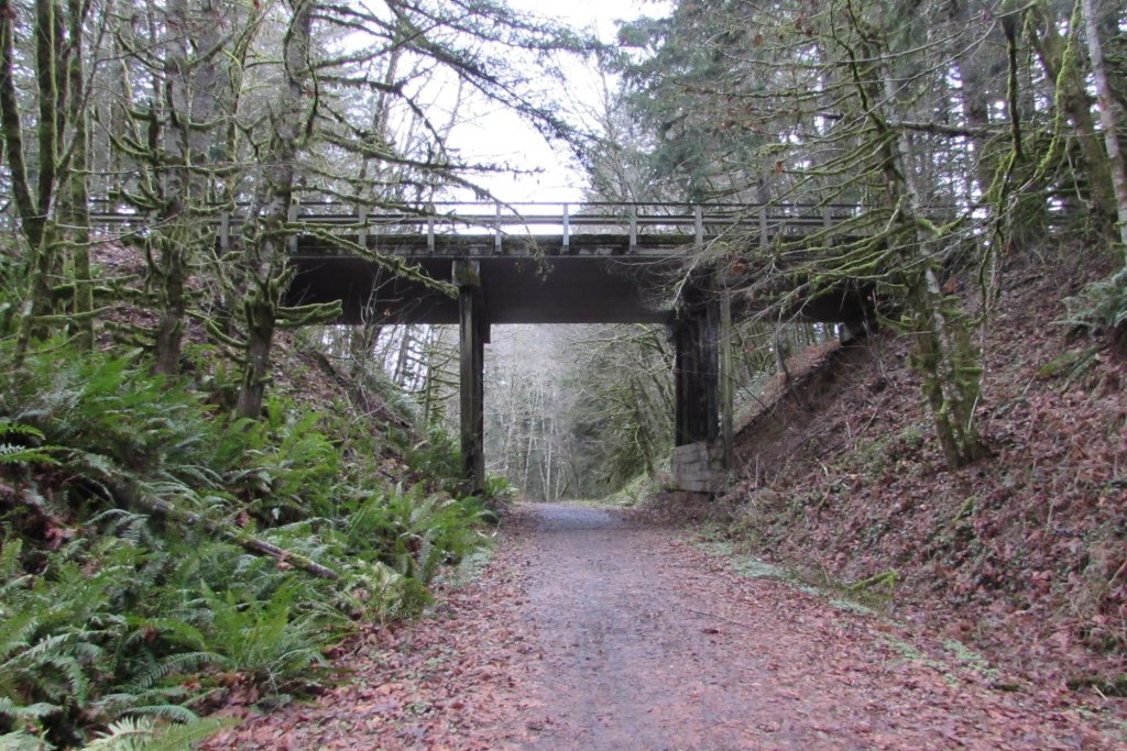 trestle Nehalem Divide Columbia County Oregon crown z CZ Trail
