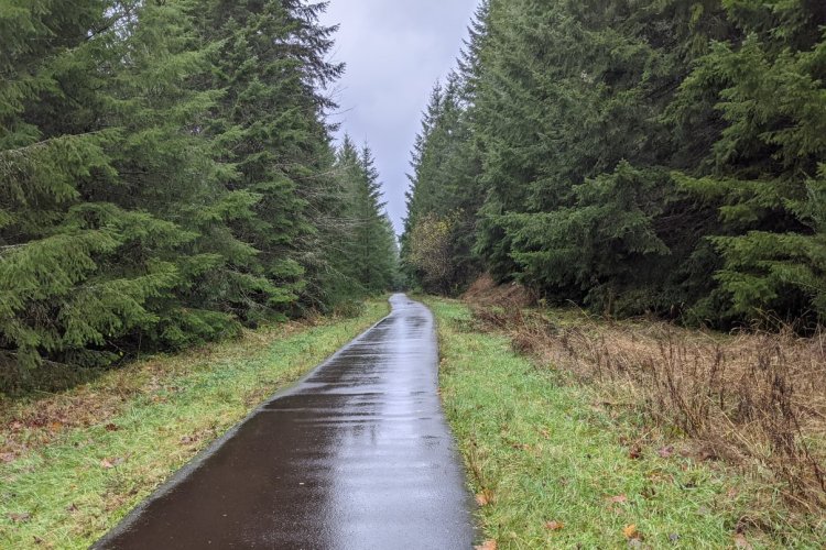 banks-vernonia state trail columbia county oregon