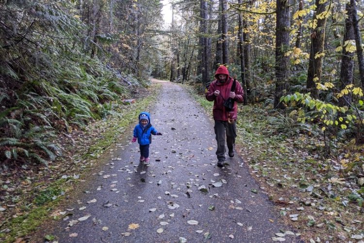 banks-vernonia state trail columbia county oregon