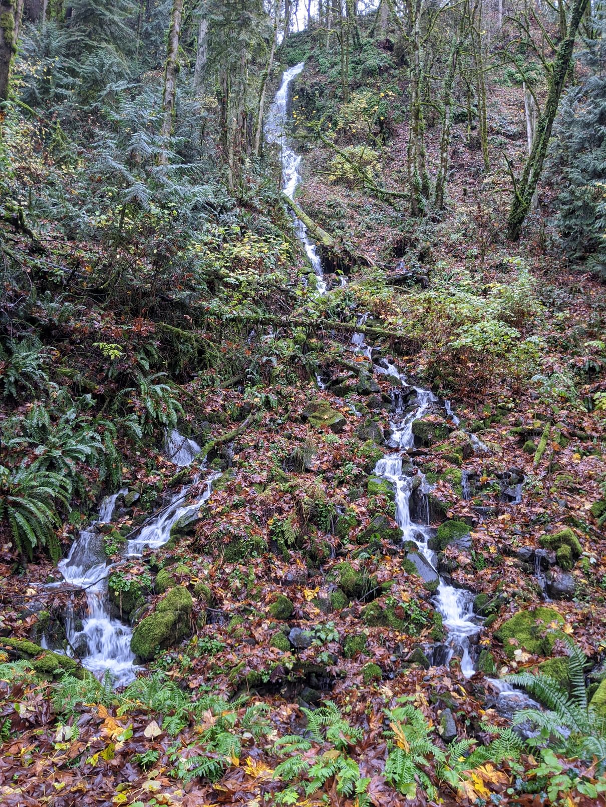 jack falls old columbia river highway 30 prescott oregon