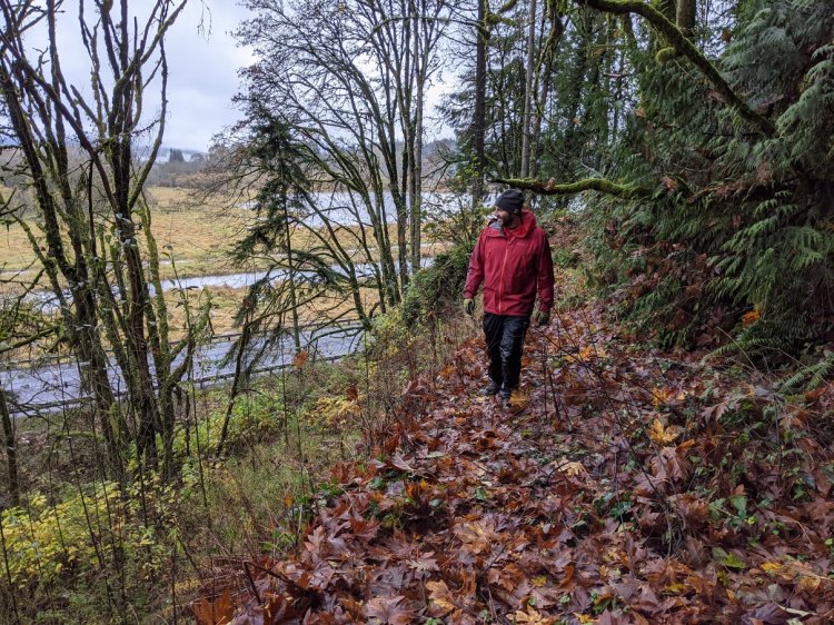 old columbia highway little jack falls prescott oregon