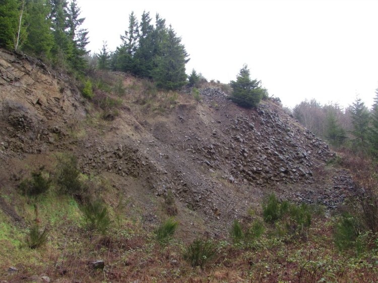 Cool Geology CZ Trail Crown Zellerbach Bonnie Falls Pisgah Columbia County Oregon