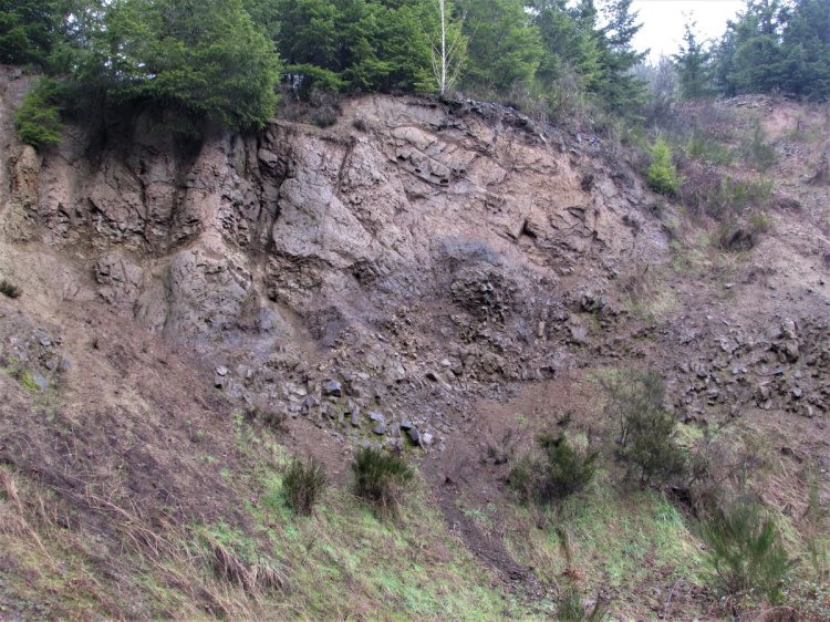 Cool Geology CZ Trail Crown Zellerbach Bonnie Falls Pisgah Columbia County Oregon