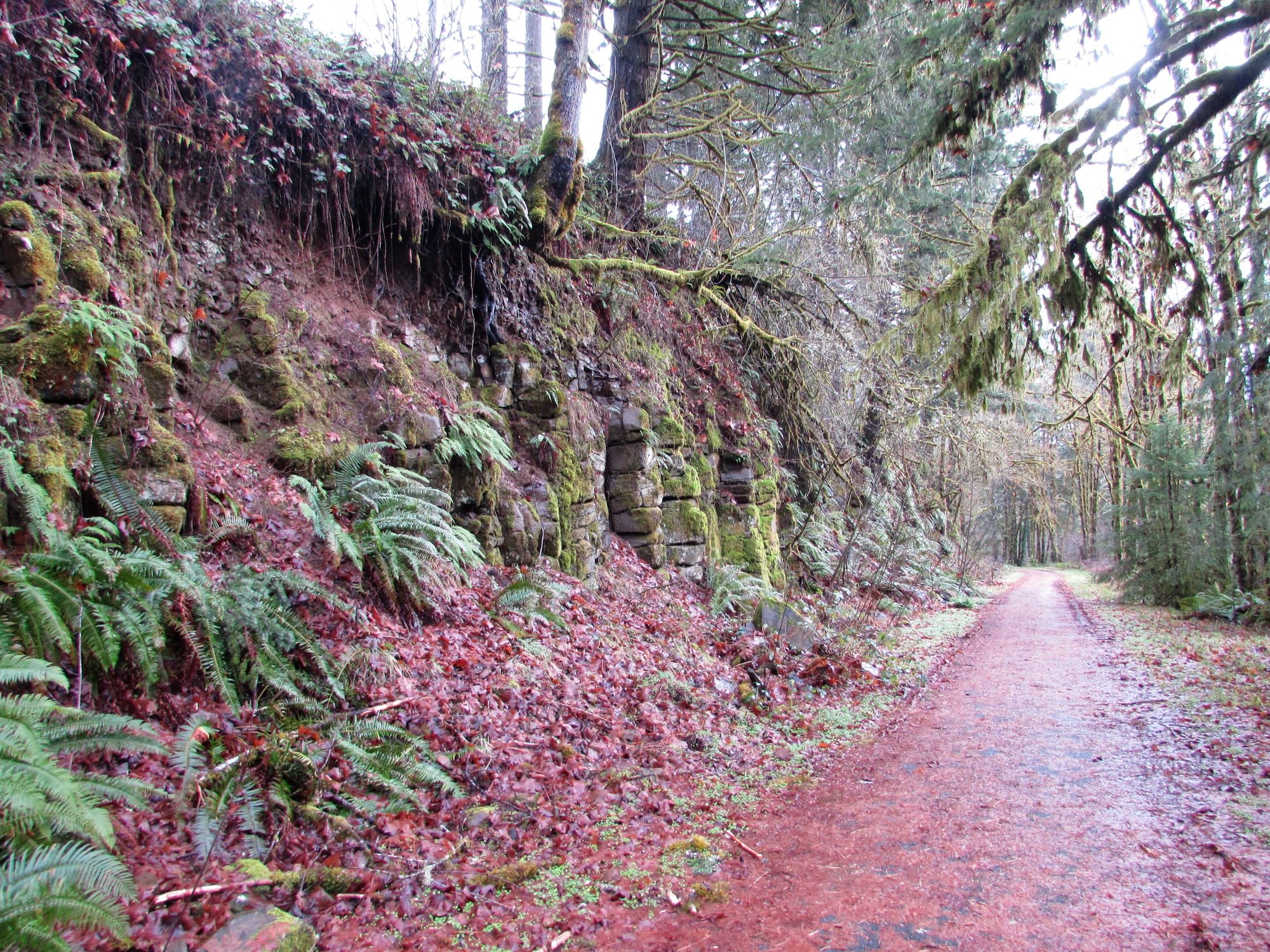 Cool Geology CZ Trail Crown Zellerbach Bonnie Falls Pisgah Columbia County Oregon
