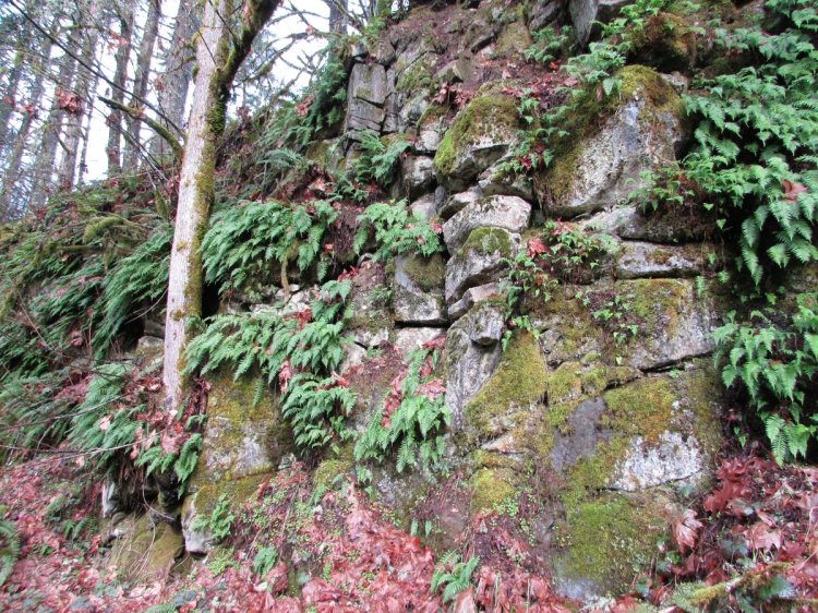 Cool Geology CZ Trail Crown Zellerbach Bonnie Falls Pisgah Columbia County Oregon