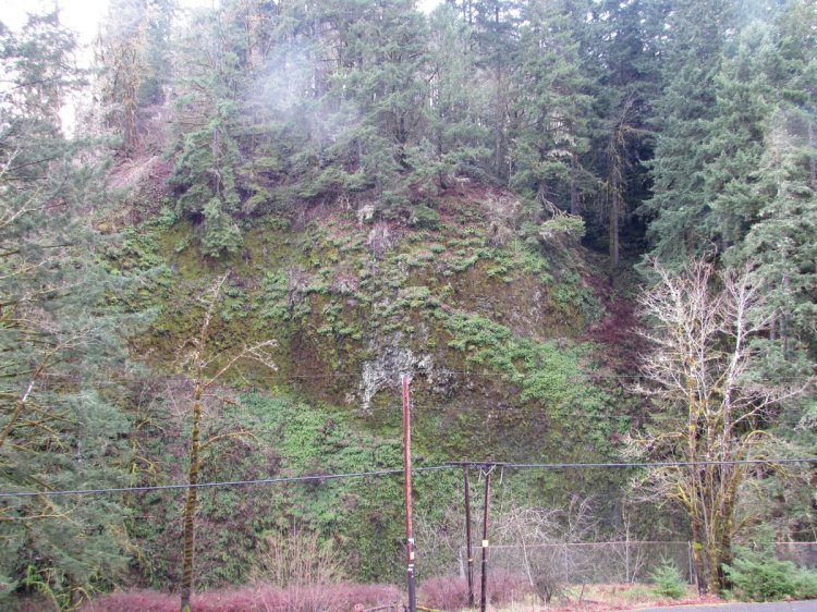 Cool Geology CZ Trail Crown Zellerbach Bonnie Falls Pisgah Columbia County Oregon