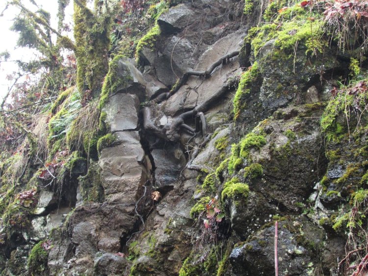 Cool Geology CZ Trail Crown Zellerbach Bonnie Falls Pisgah Columbia County Oregon
