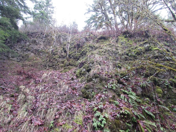 Cool Geology CZ Trail Crown Zellerbach Bonnie Falls Pisgah Columbia County Oregon
