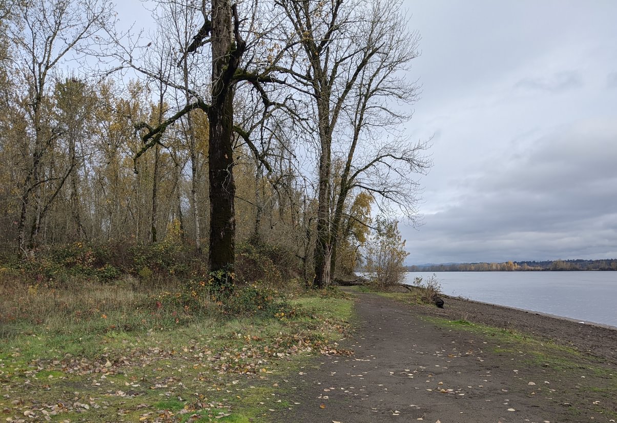 Willow Bar Islands Trail Sauvie Island columbia county oregon