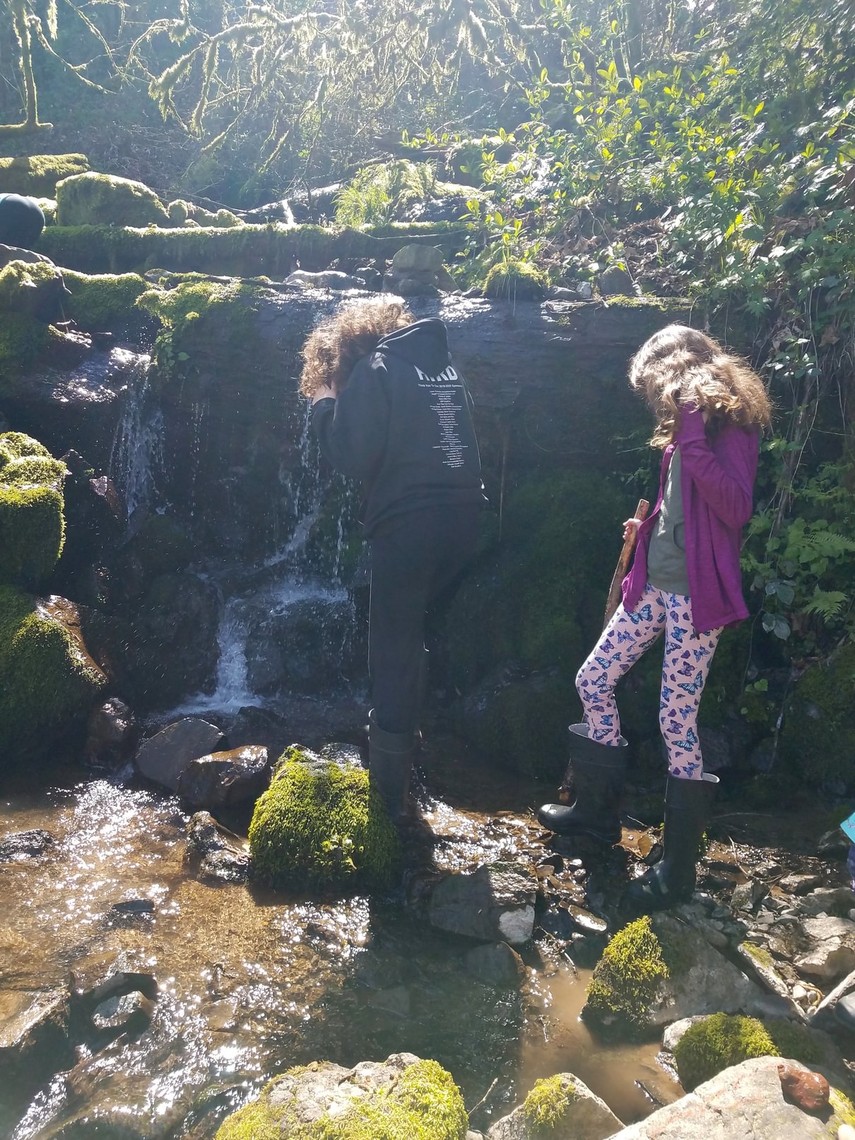 stream 4-H Welter Cemetery Goble Prescott Rainier Columbia County Oregon