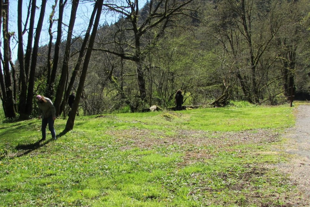 4-H Welter Cemetery Goble Prescott Rainier Columbia County Oregon