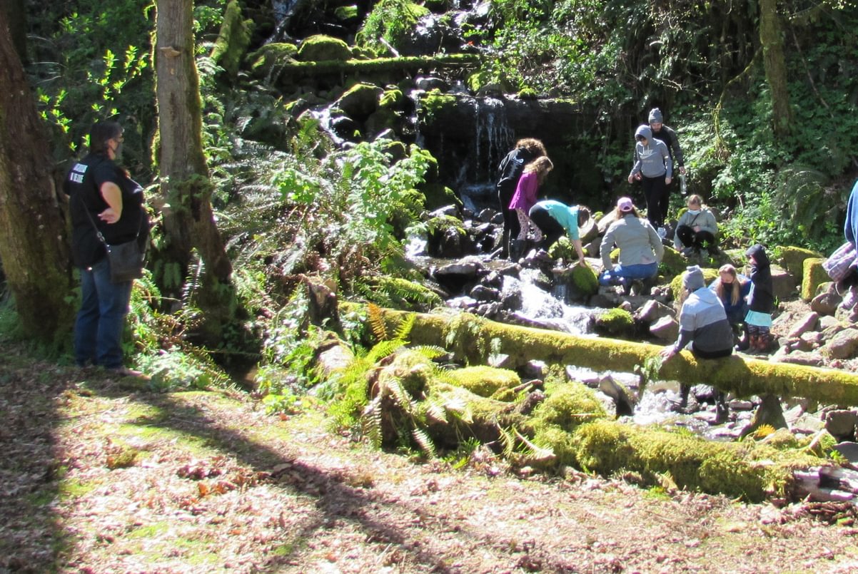 stream 4-H Welter Cemetery Goble Prescott Rainier Columbia County Oregon