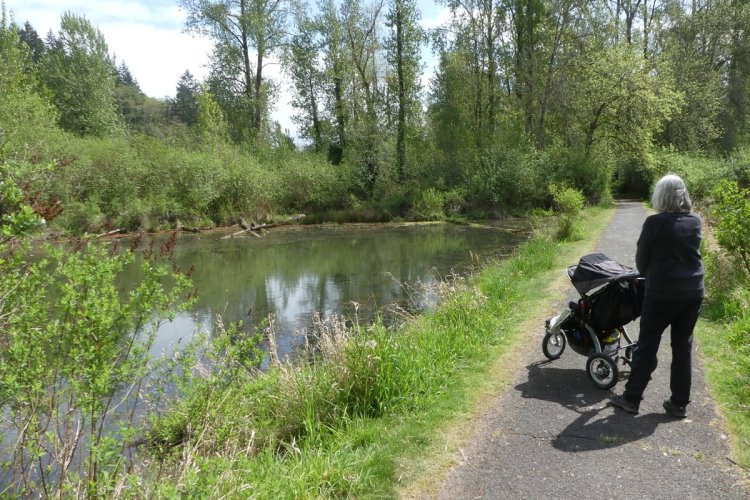 Trojan Park lake pond marsh goble prescott rainier columbia county oregon