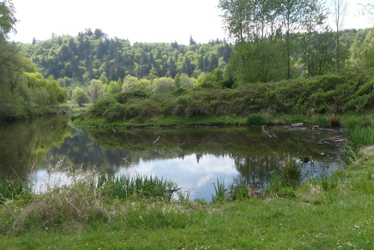 Trojan Park lake pond marsh goble prescott rainier columbia county oregon