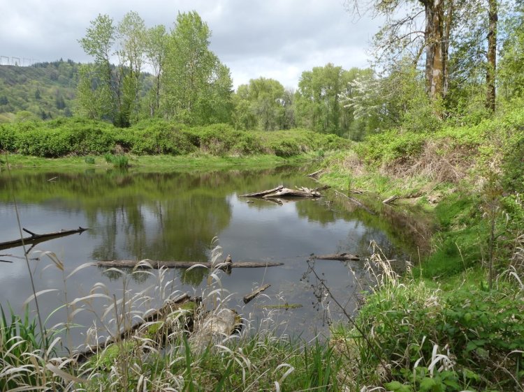 Trojan Park lake pond marsh goble prescott rainier columbia county oregon