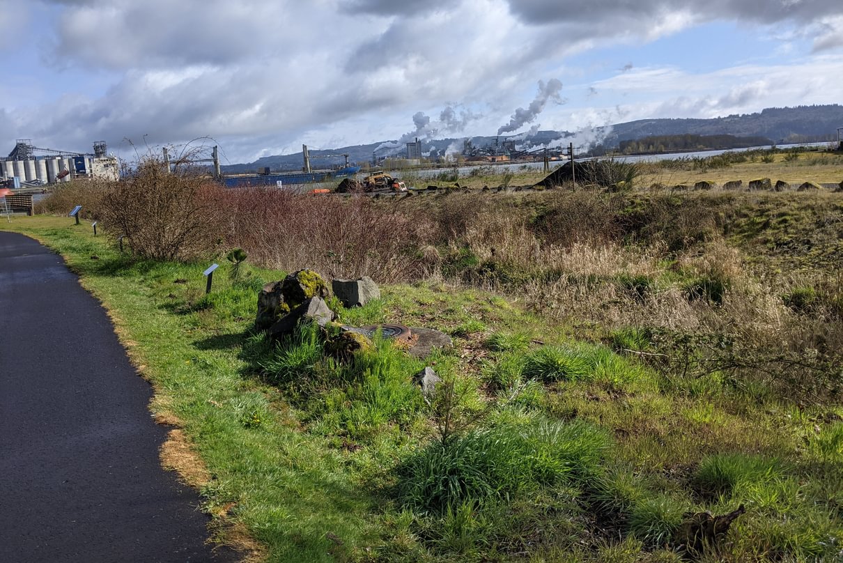 rainier riverfront park columbia county oregon habitat restoration area fox creek