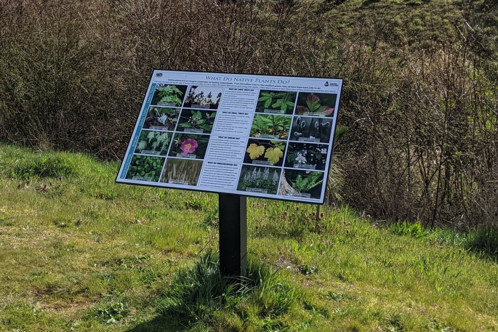 rainier riverfront park columbia county oregon habitat restoration area fox creek