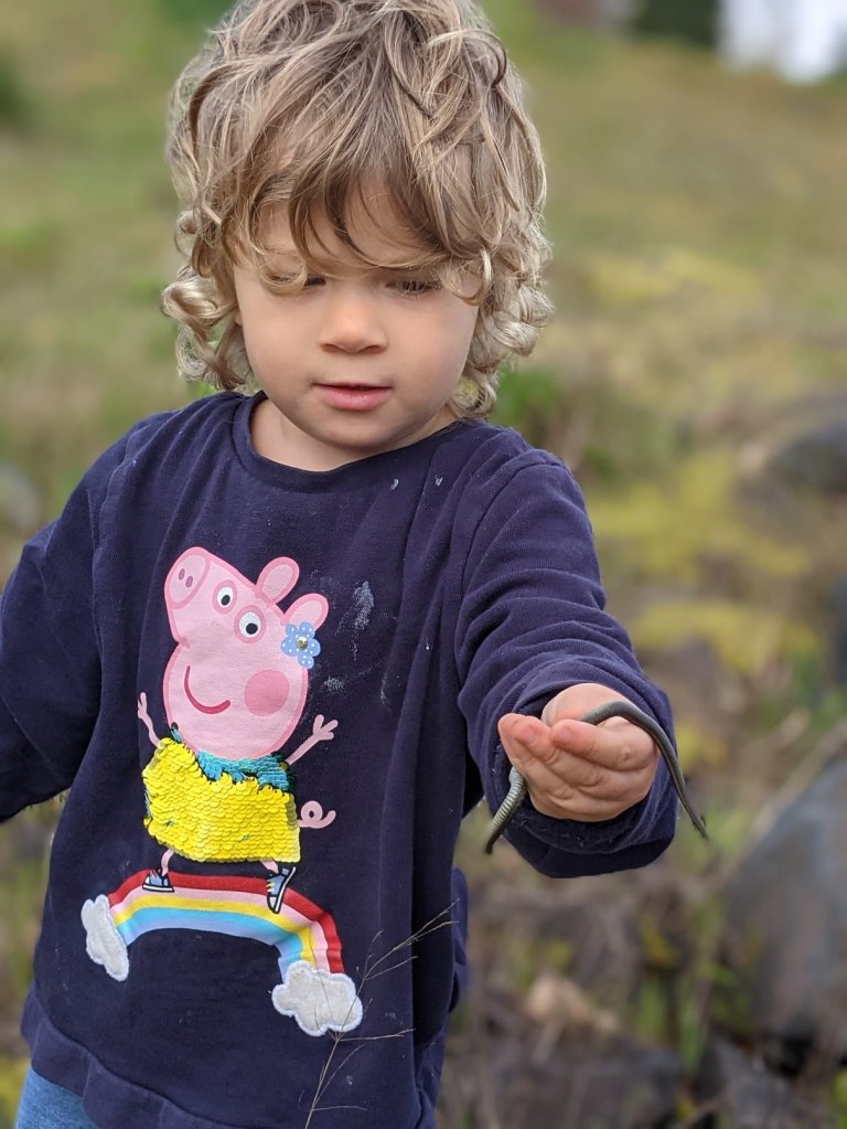Northwestern Garter Snake Thamnophis ordinoides rainier riverfront park little girl holding snake