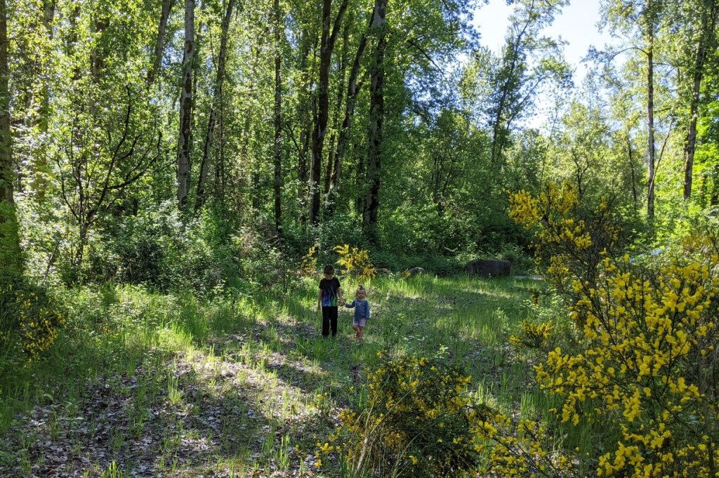 Dibblee Beach County Park Dibblees Columbia Northwest Oregon