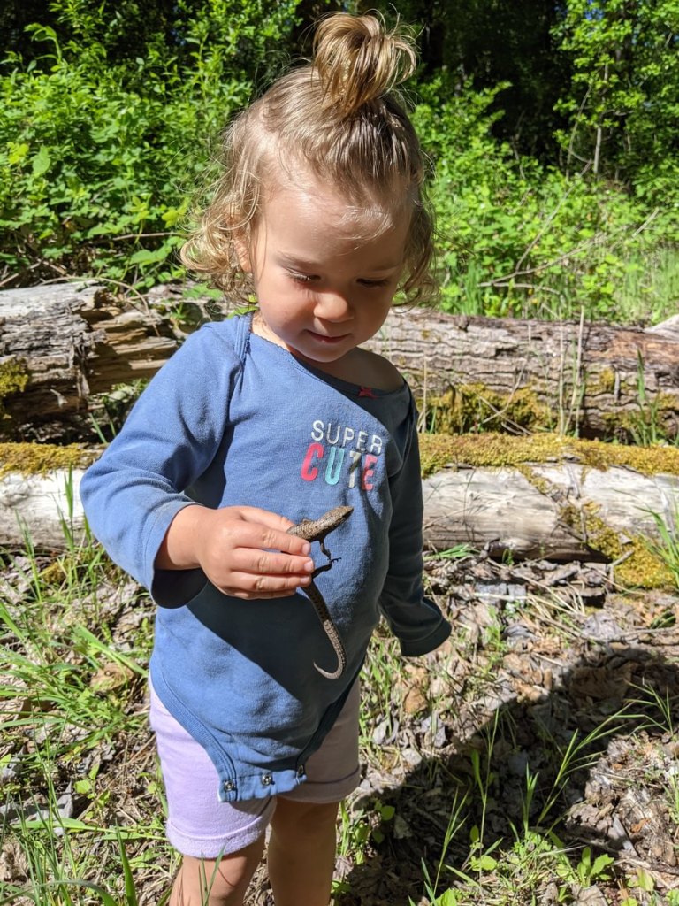 baby with alligator lizard Dibblee Beach County Park Dibblees Columbia Northwest Oregon