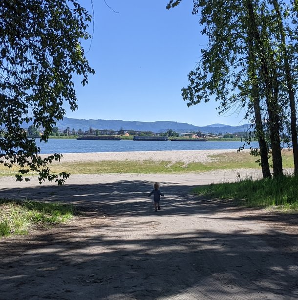 Dibblee Beach County Park Dibblees Columbia Northwest Oregon