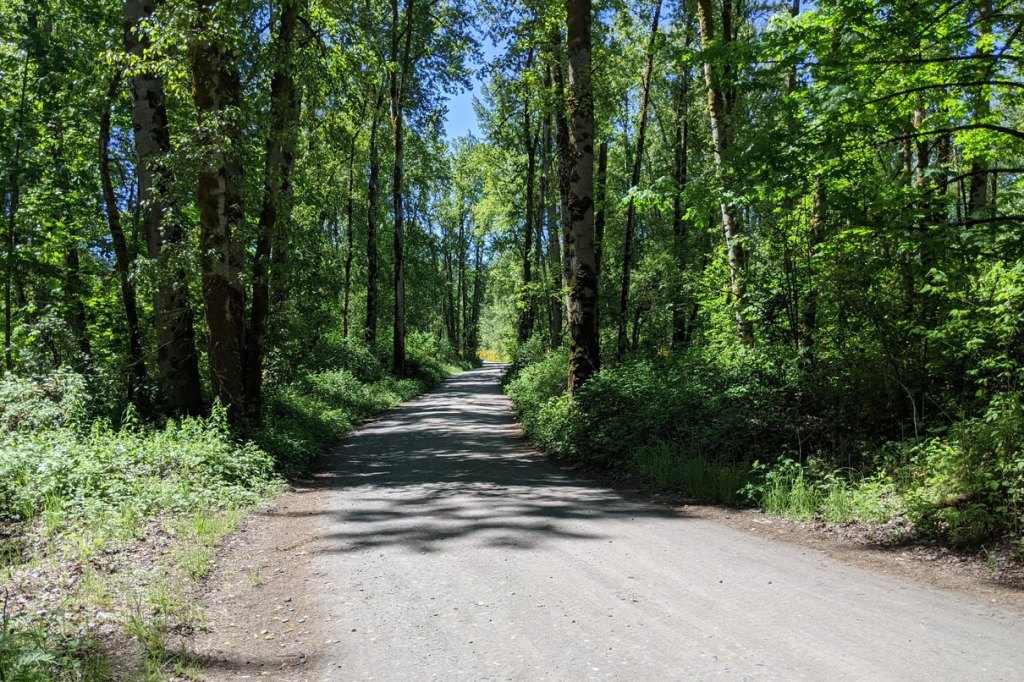 Dibblee Beach County Park Dibblees Columbia Northwest Oregon