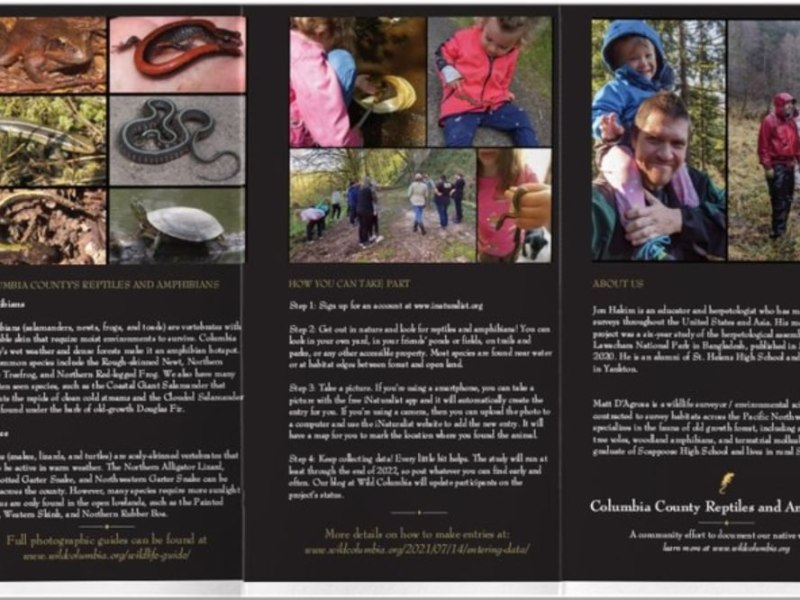 Wild Columbia on OPB next&nbsp;week