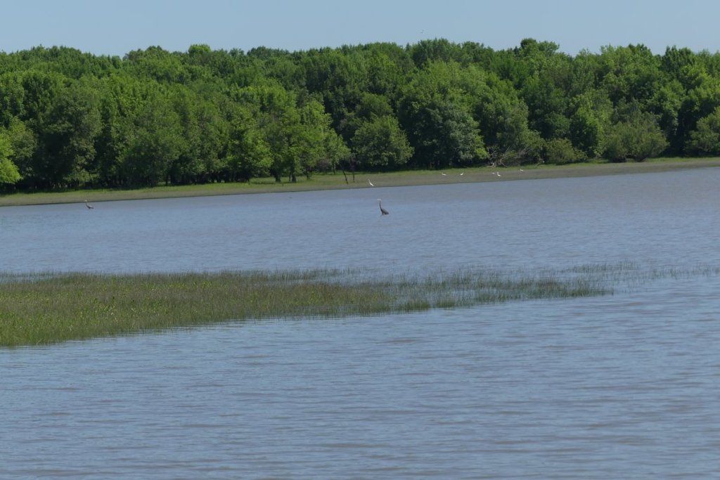 Mud Lake Sauvie Island Westside Unit Columbia County Oregon