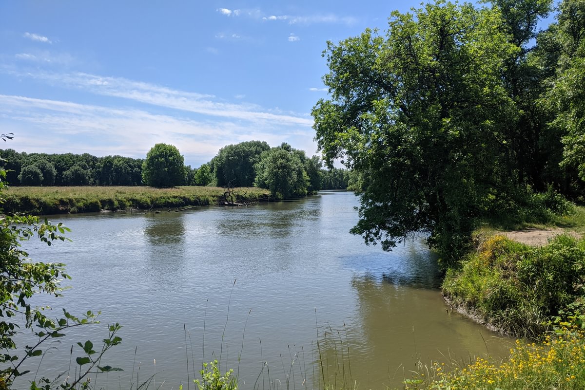 Gilbert River Sauvie Island Westside Unit Columbia County Oregon