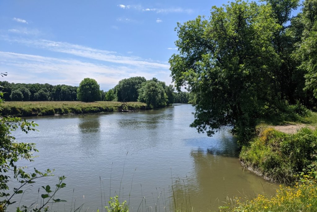 Gilbert River Sauvie Island Westside Unit Columbia County Oregon