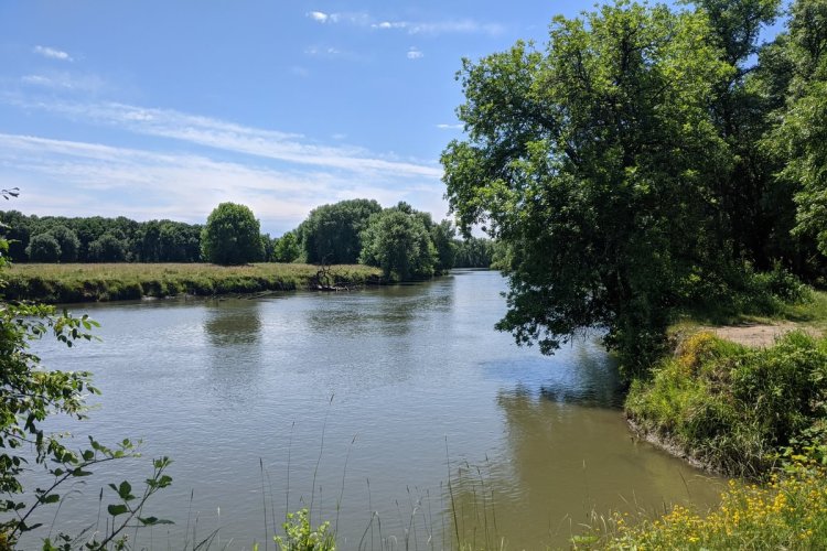 Gilbert River Sauvie Island Westside Unit Columbia County Oregon
