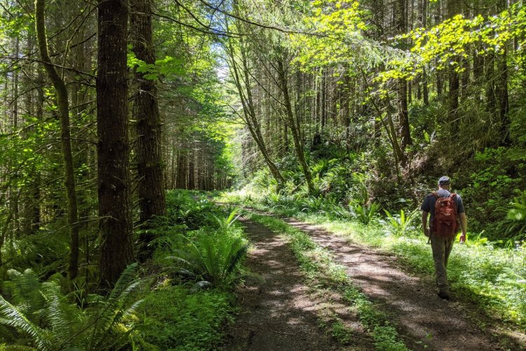scout lake clatskanie oregon columbia county