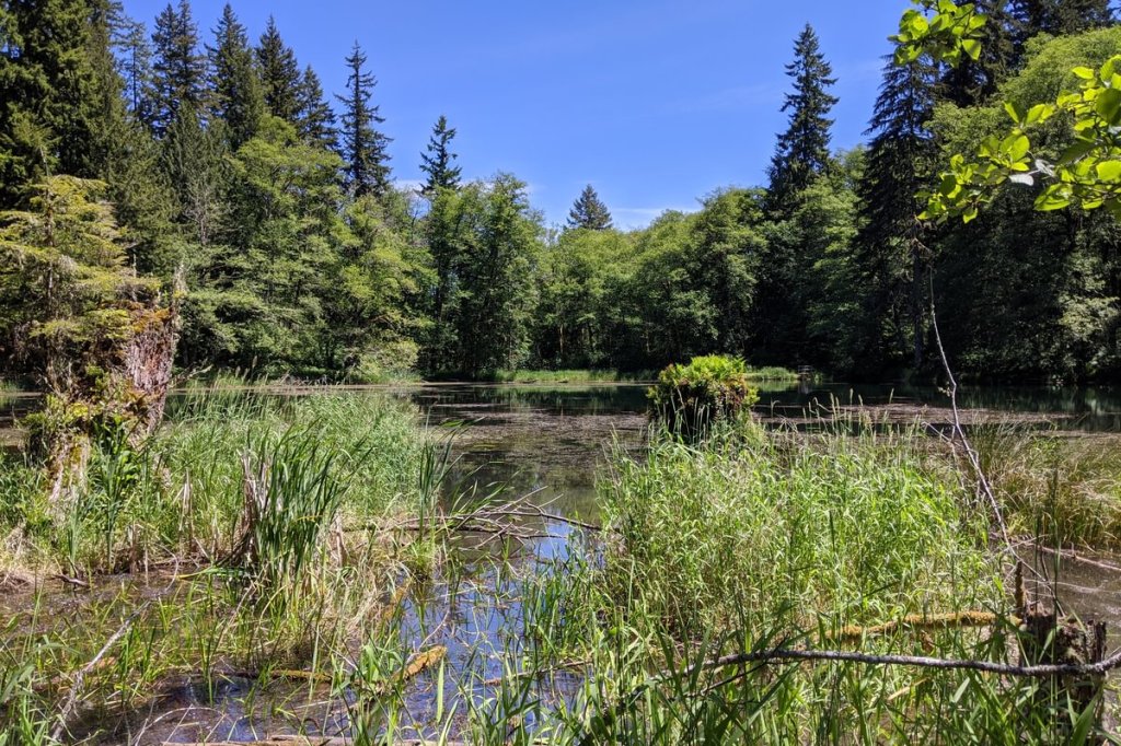 scout lake clatskanie oregon columbia county