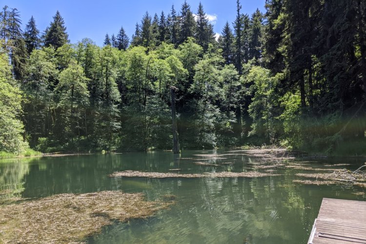 scout lake clatskanie oregon columbia county