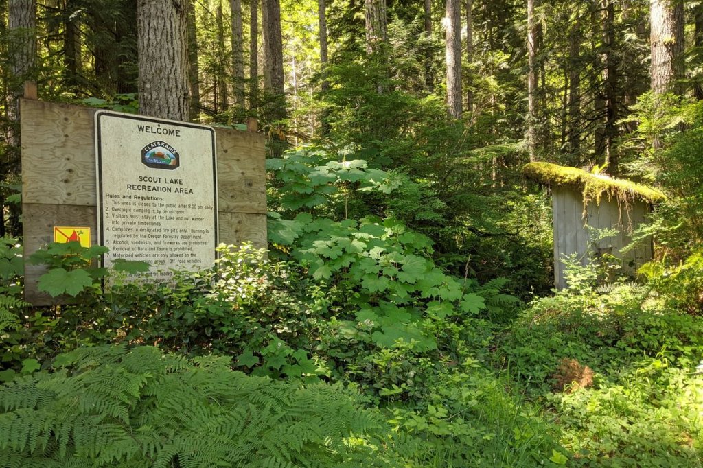scout lake recreation area clatskanie oregon columbia county