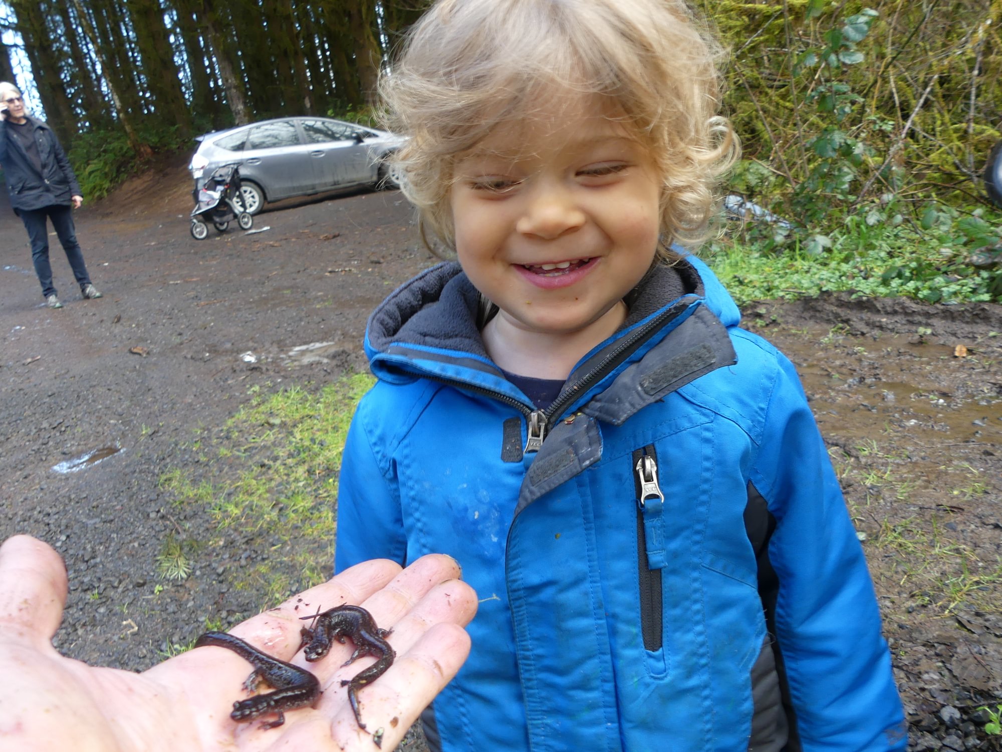 Dunn's Salamanders Salmonberry Reservoir St. Helens Tree Farm Columbia County Oregon
