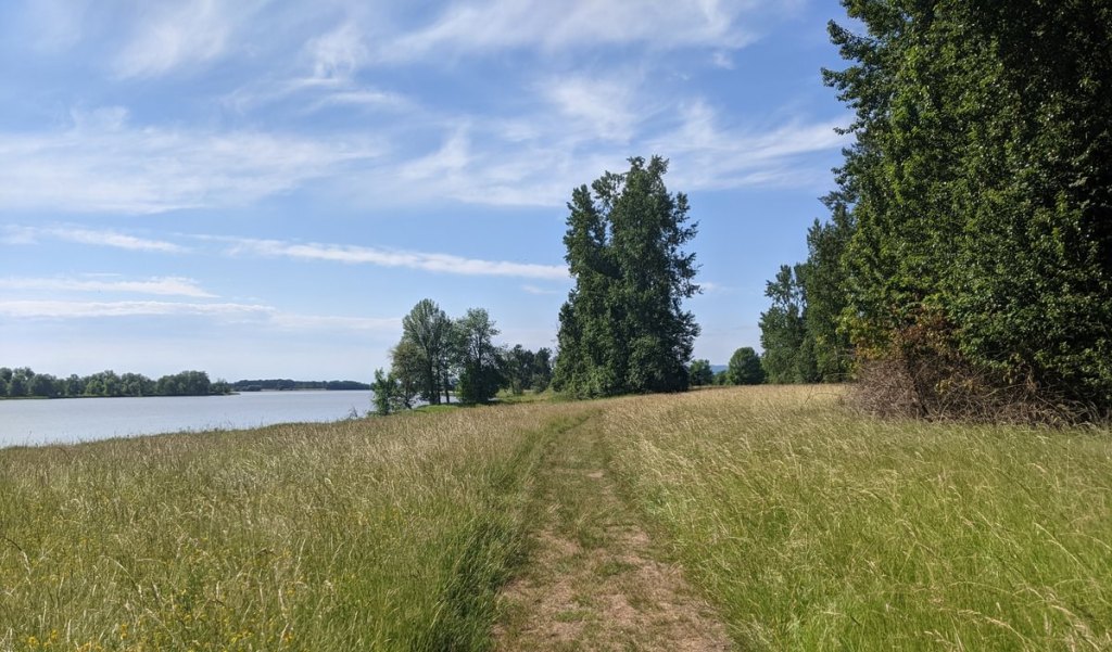 Steelman Lake Sauvie Island westside unit columbia county oregon