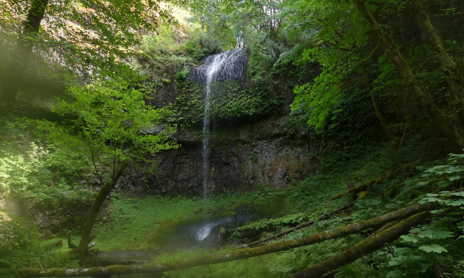 Carcus Creek Falls waterfall columbia county oregon