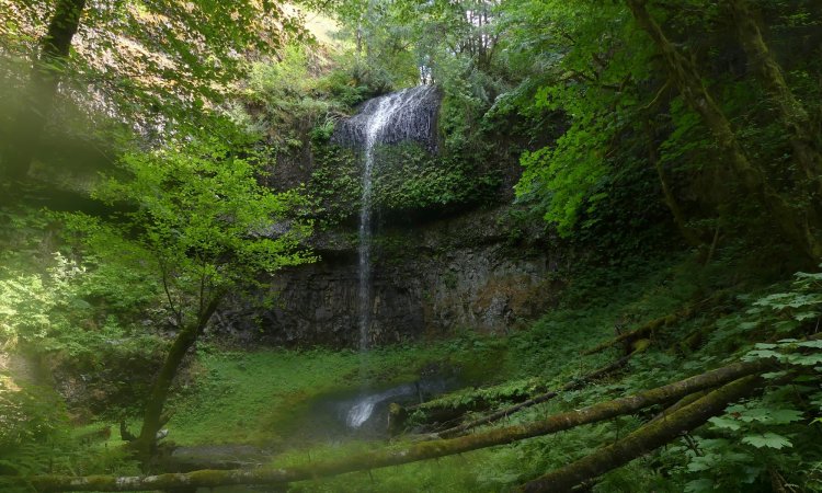 Carcus Creek Falls waterfall columbia county oregon