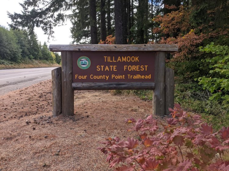 Four County Point Trail Trailhead Tillamook State Forest Columbia County Oregon