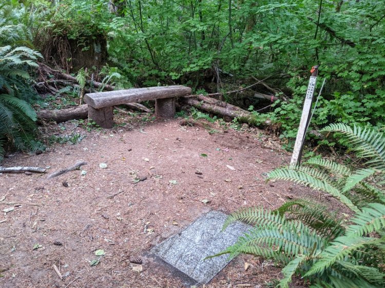 Four County Point Trail Tillamook State Forest Columbia Clatsop Tillamook Washington Oregon
