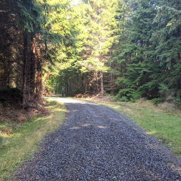 Holce Trailhead to Wilark Trailhead CZ Trail Crown Zellerbach Trail